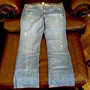 🎉SALE!!🎉Source of Wisdom by Torrid Distressed Flare Women’s Plus Jeans size 20